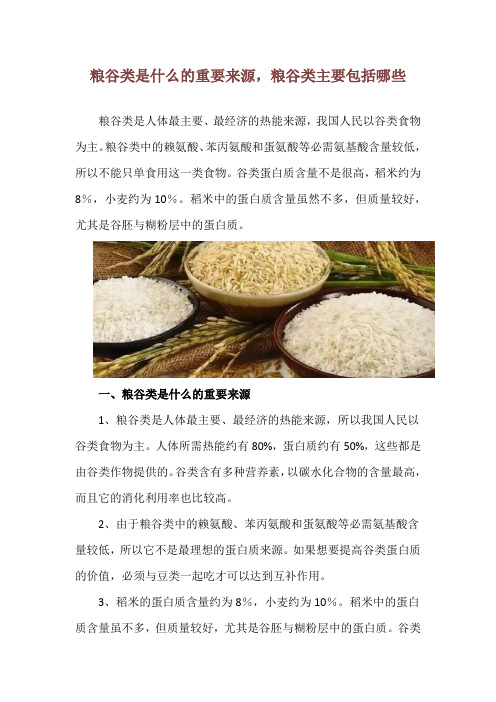 粮谷类是什么的重要来源,粮谷类主要包括哪些