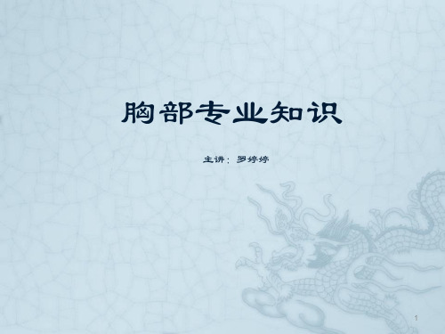 胸部专业知识培训PPT课件