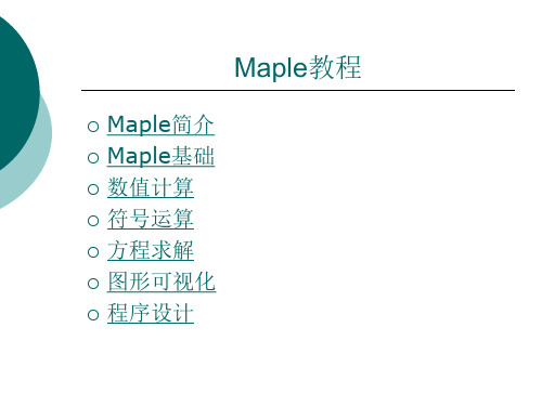 Maple8基础教程