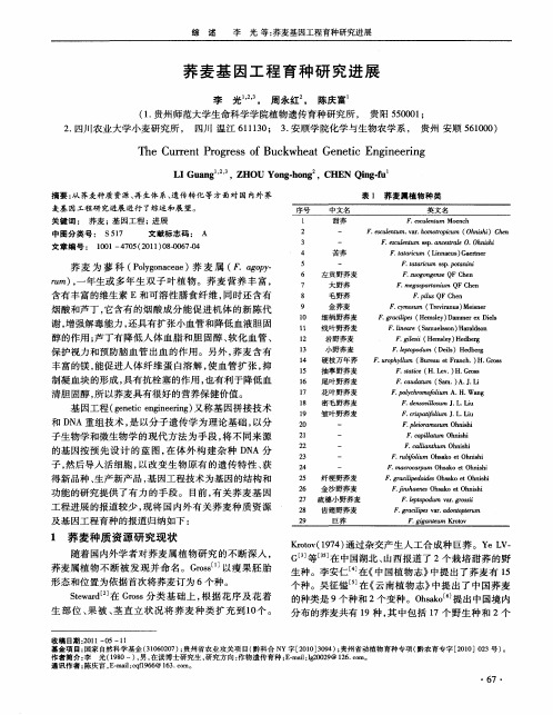 荞麦基因工程育种研究进展