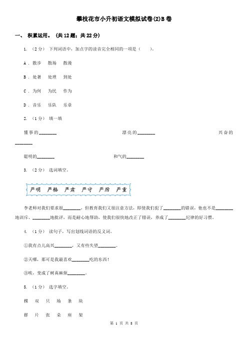 攀枝花市小升初语文模拟试卷(2)B卷