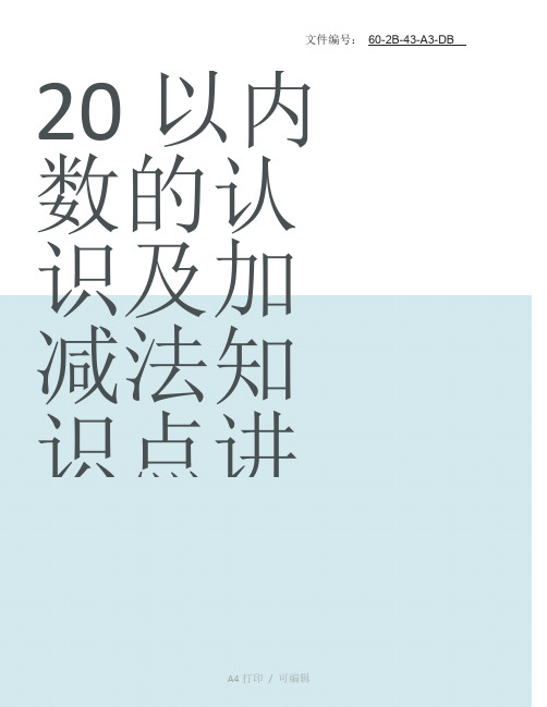 整理20以内数的认识及加减法知识点讲义