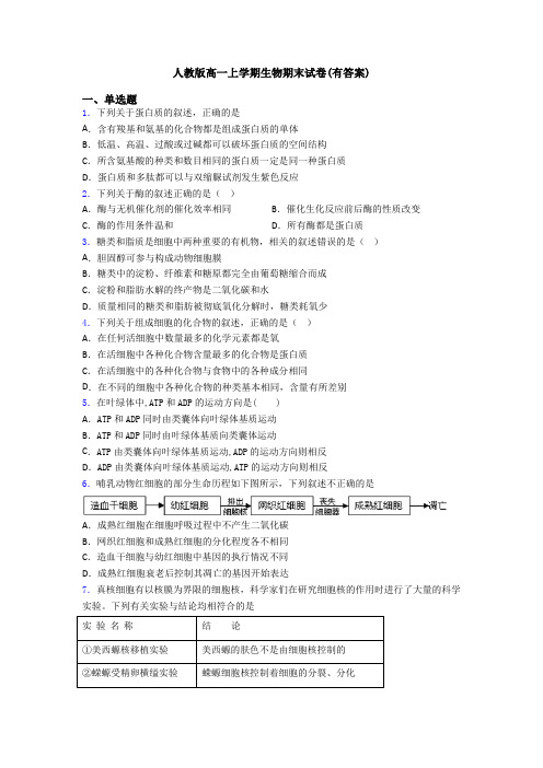 人教版高一上学期生物期末试卷(有答案)