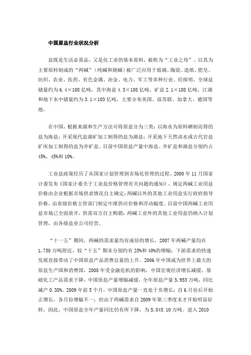 优质盐田综合开发项目商业计划书