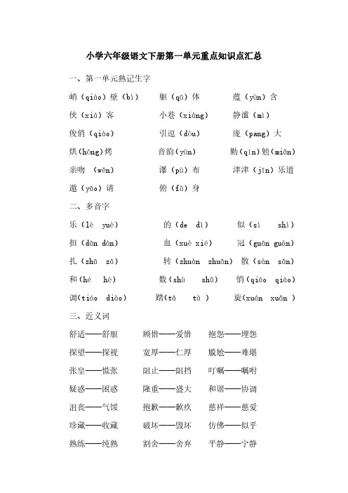 小学六年级语文下册第一单元重点知识点汇总