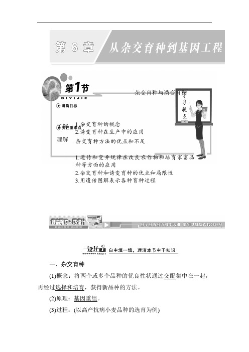 最新高中生物-杂交育种与诱变育种 精品