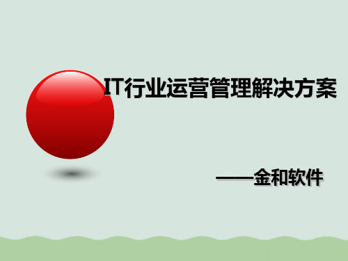 IT行业运营管理解决方案(PPT 50页)