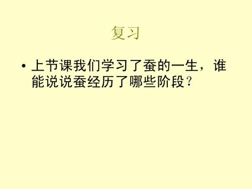 【三下】2.6、2.7 其他动物的生命周期----刘约翰