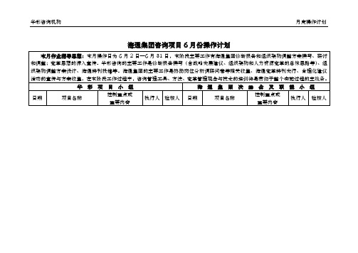 华彩-海通项目—第一工作月度操作计划