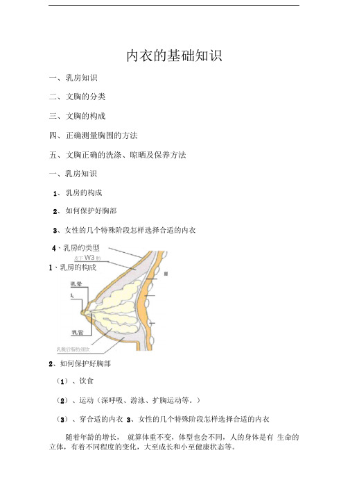 内衣的基础知识