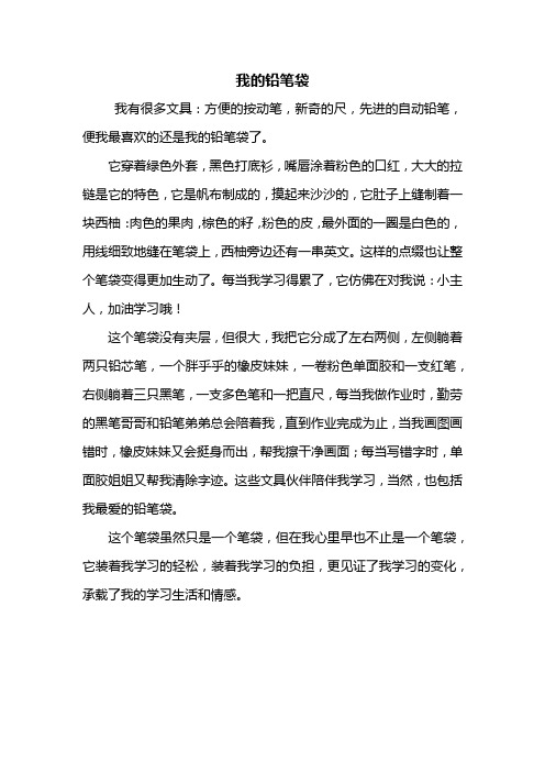 五年级作文:我的铅笔袋作文450字