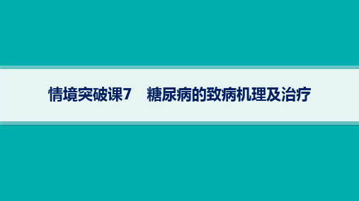 2024年人教版高考生物总复习第二部分情境突破课7糖尿病的致病机理及治疗