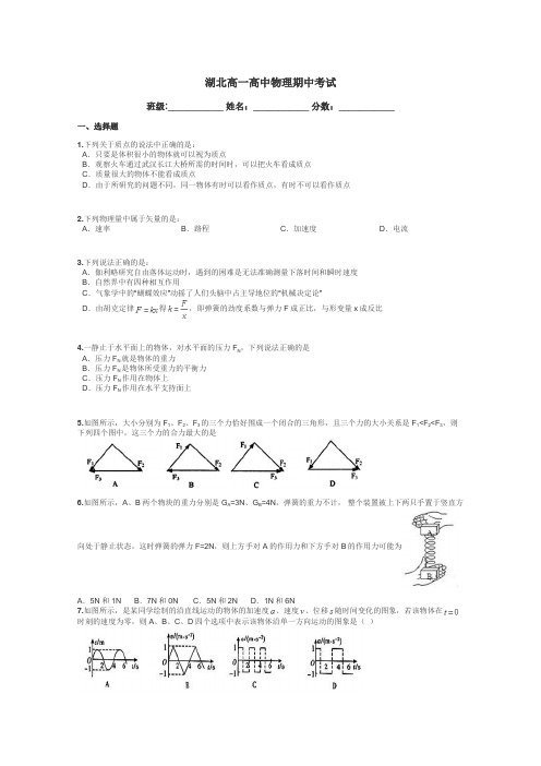 湖北高一高中物理期中考试带答案解析
