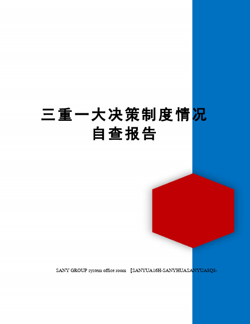 三重一大决策制度情况自查报告