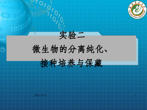 实验三微生物的分离纯化与观察