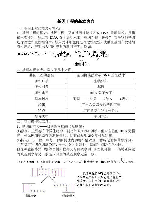 基因工程的基本内容