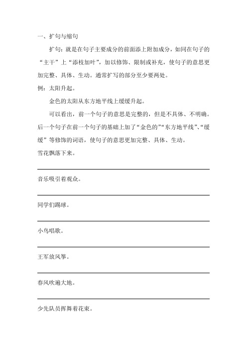 小升初语文专项训练 句式转换 扩句与缩句(人教部编版,含答案)