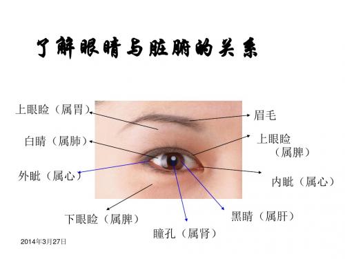 陈红银望眼诊病法