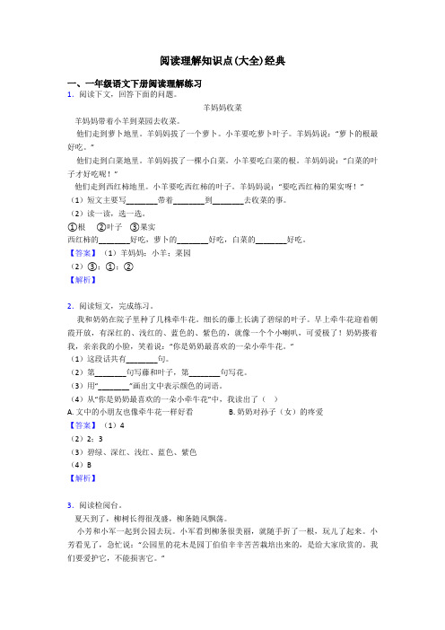 一年级阅读理解知识点(大全)经典