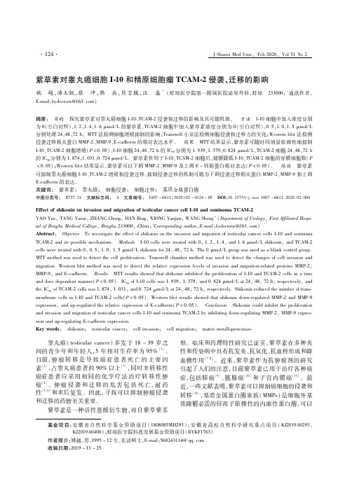 紫草素对睾丸癌细胞i-10和精原细胞瘤tcam-2侵袭、迁移的影响