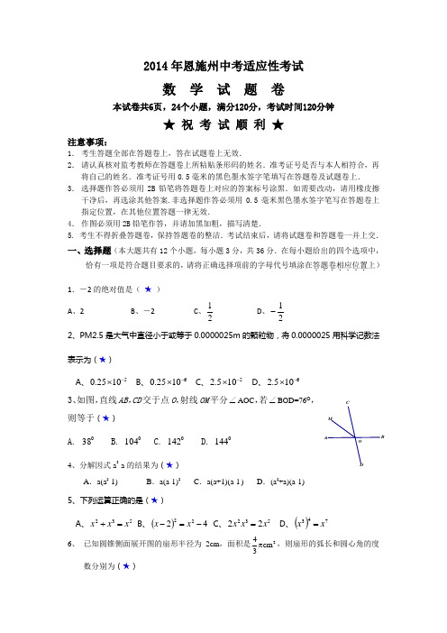 2014年恩施州中考适应性考试数学试题