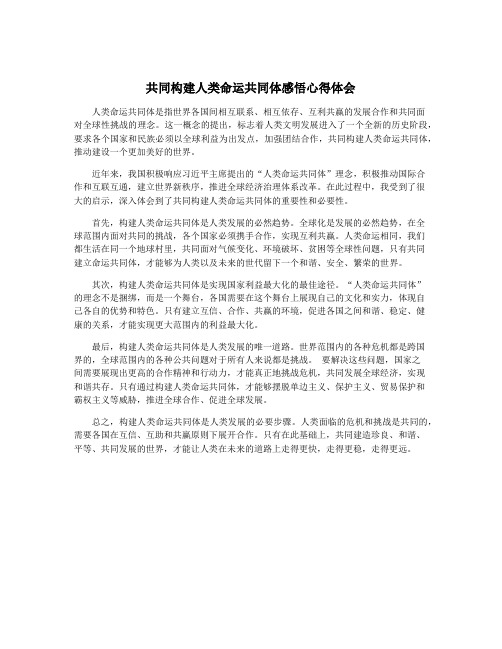 共同构建人类命运共同体感悟心得体会