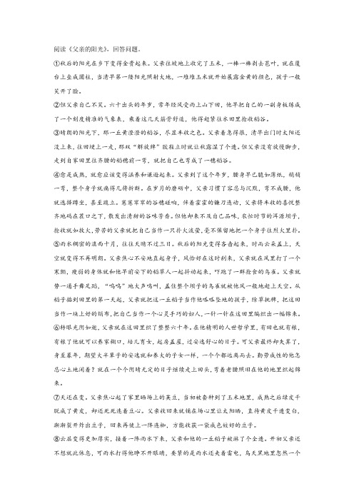 《父亲的阳光》阅读练习及答案