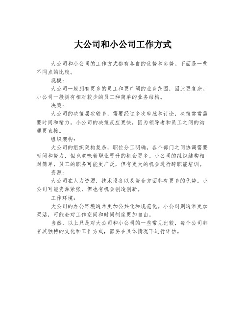 大公司和小公司工作方式