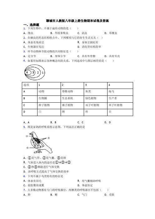 聊城市人教版八年级上册生物期末试卷及答案