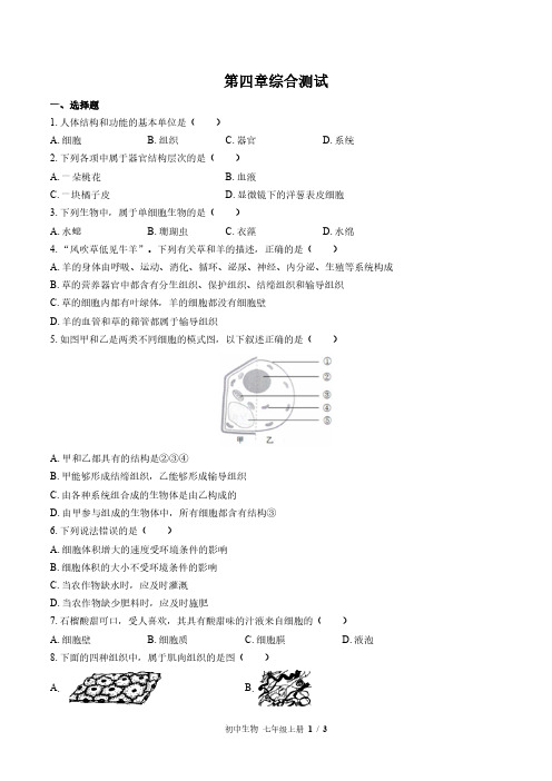 (苏教版)初中生物七上第四章综合测试03(含答案)