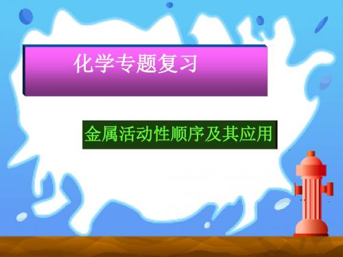 中考化学专题复习：金属活动性顺序及其应用PPT课件 人教版