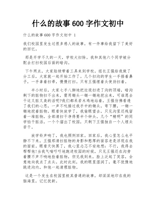 什么的故事600字作文初中