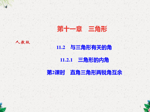 人教版八年级上册数学作业课件:11.2 与三角形有关的角 11.2.1 三角形的内角 第2课时 直