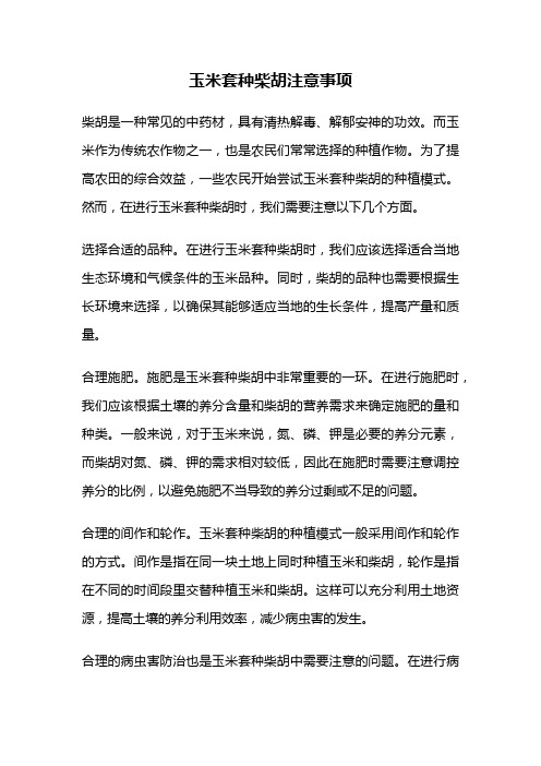 玉米套种柴胡注意事项