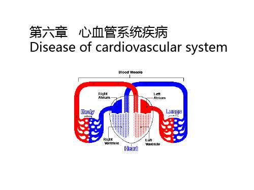 病理学风湿病