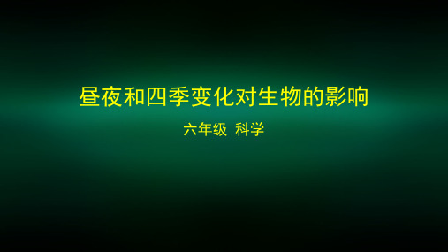 六年级【科学(教科版)】昼夜和四季变化对生物的影响2课件