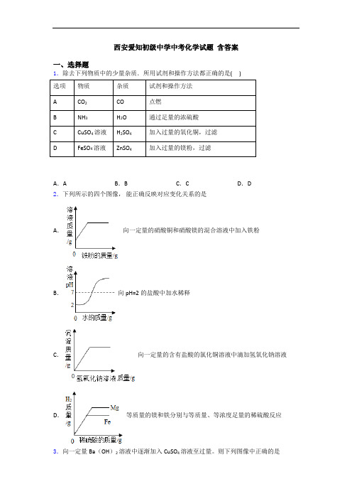 西安爱知初级中学中考化学试题 含答案