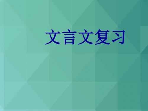 高考语文课件-2018年高考语文第一轮知识点专题复习18 