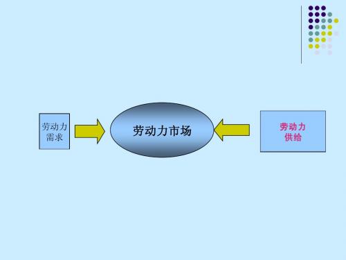 劳动经济学——劳动力供给