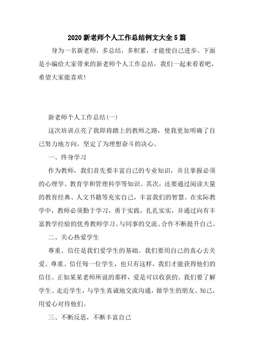 新整理2020新老师个人工作总结例文大全5篇