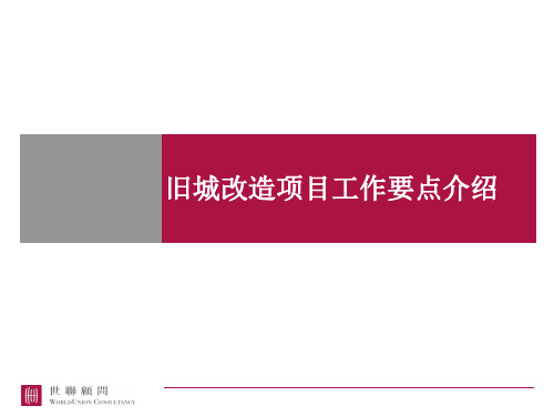 旧城改造项目工作要点