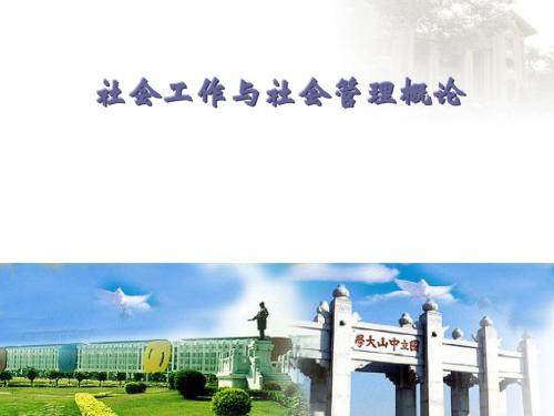 什么是社会工作