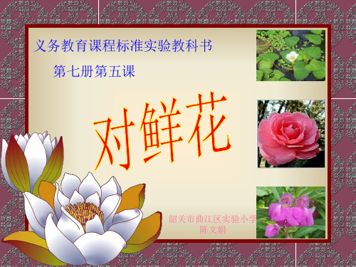 《对鲜花》说课PPT