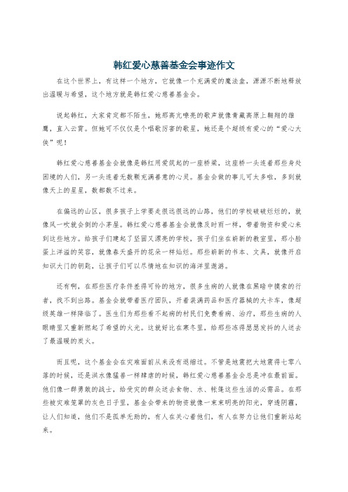 韩红爱心慈善基金会事迹作文