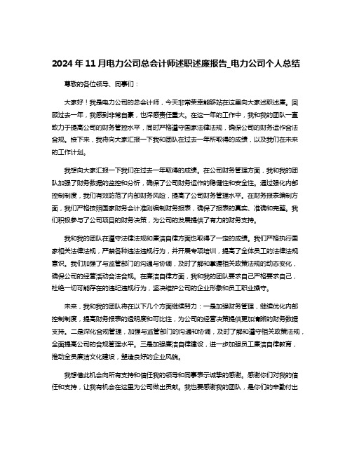 2024年11月电力公司总会计师述职述廉报告_电力公司个人总结