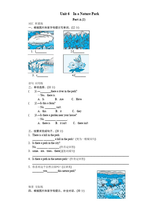 课时测评-英语人教PEP5年上 unit6 In a nature park-PartA试题及答案 (2)