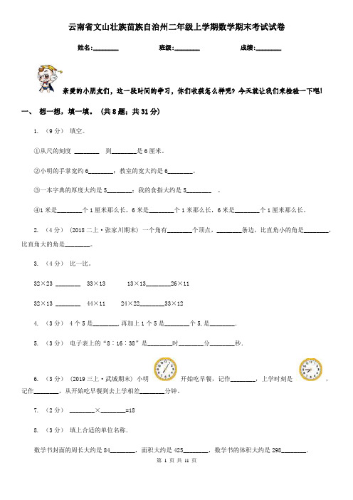 云南省文山壮族苗族自治州二年级上学期数学期末考试试卷