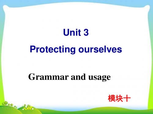 牛津译林版高中英语Module 10 Unit 3 Grammar and usage教学课件