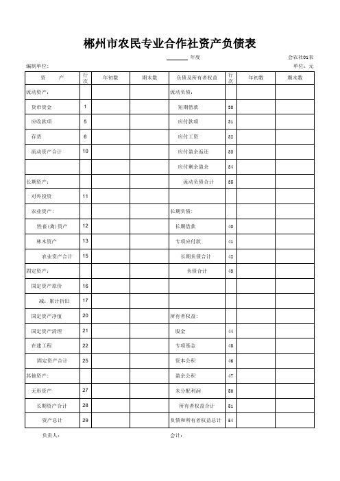 农村合作社资产负债表