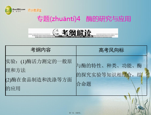 高考生物总复习 专题4 酶的研究与应用课件 新人教版选修1 